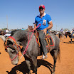 CavalgadaFelixlandia2011-001.jpg