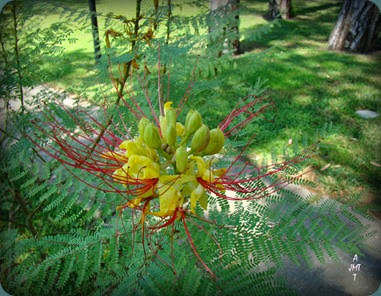 DSC01017H9bBW DSC01017H9bBW