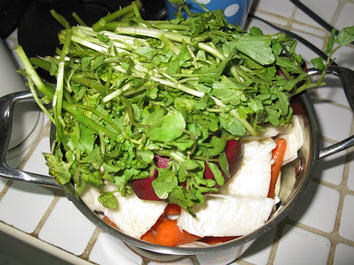 The ingredients, once cut up in juicer-friendly two inch pieces, filled a one gallon pot.