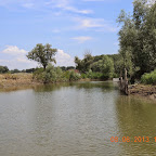 DSCN7096.JPG