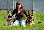 One of my pups from Breeding and her adopted Sister