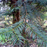 dsc00719.jpg