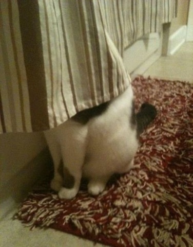 [viral-picdump-8b6b38%255B2%255D.jpg]