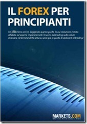 guida-forex-principianti guida-forex-principianti