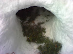 01-10-09_0952.jpg
