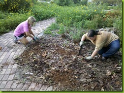 IMG_20110715_110308