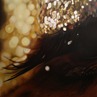 Memory Tapes_Grace-Confusion Memory Tapes_Grace-Confusion