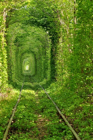 tunnel-of-love-13 tunnel-of-love-13