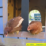 camp2007-165.jpg
