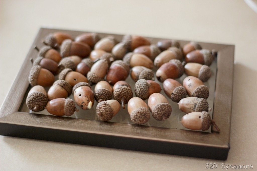 [acorns%255B3%255D.jpg]