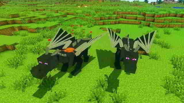 [Dragon-Mouts-Mod-Minecraft%255B5%255D.jpg]