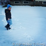 Liam har hittat fotspår i snön; påskharens, Simbas och Mufasas. Fantasi har han ju.