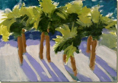 backlit palms (640x421)