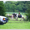 Light Horse 002.jpg