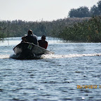 IMG_7975.JPG