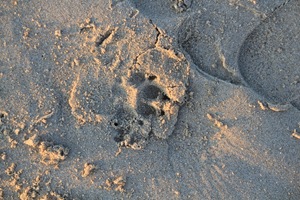 IMG_6557 IMG_6557