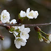 P1010067.JPG