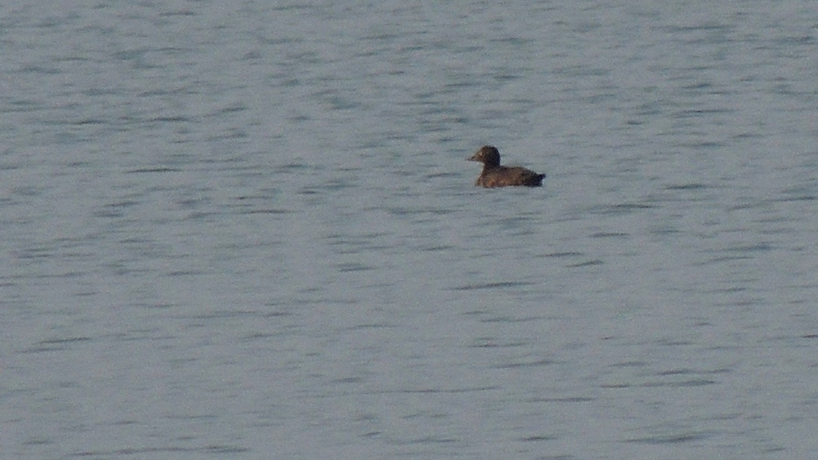 [2013-03-02-Lago-di-Pusiano-003_cr-19%255B1%255D.jpg]