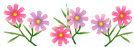 5586008_zVLyR 5586008_zVLyR