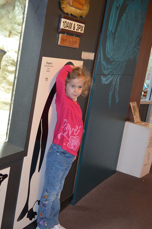 [DSC_0494%255B3%255D.jpg]