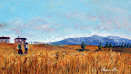 Campo di grano