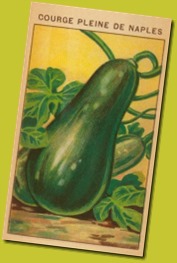 french-zucchini-seed-packet_i-G-35-3595-VZO2F00Z french-zucchini-seed-packet_i-G-35-3595-VZO2F00Z