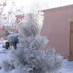 снежная зима 08-09 года (8).JPG