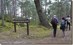 Sentier du Pain de sucre