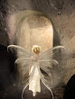 Fairy In Light