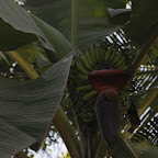 DSC_8151.jpg