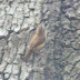 P1120044