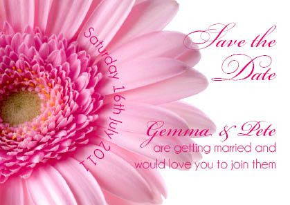 Pale Pink Gerbera 1 Save the Date