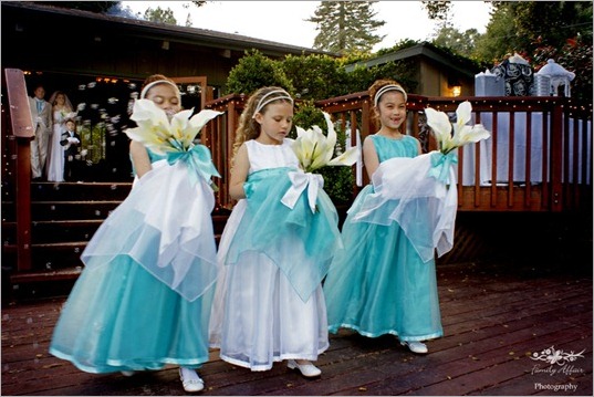 The Mountain Terrace, SF Bay Area Wedding SONY DSC