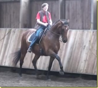 Cera-August-2012 Cera-August-2012