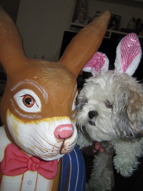 [IMG_1213%255B11%255D.jpg]