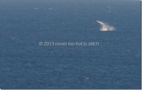 whale waving