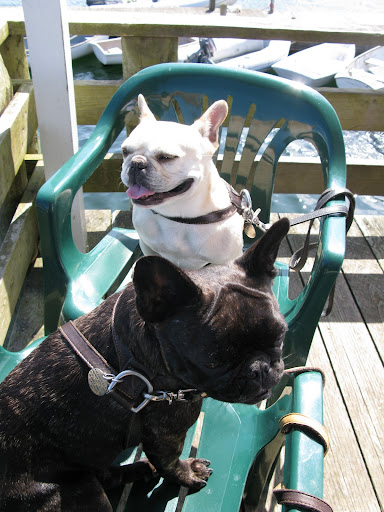 Who do you have to know to get a table around here?