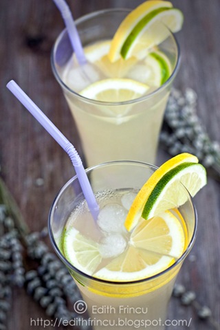 [limonada%2520cu%2520lavanda%25202%255B5%255D.jpg]
