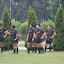 IMG_3650-20110601.JPG