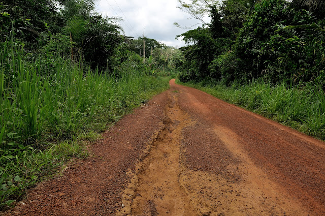 La piste (ravinée par les pluies) menant à Ebogo (Cameroun), 26 avril 2013. Photo : Daniel Milan