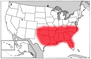 Bible belt