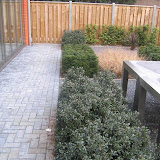 bedrijfstuin nijverdal 2
