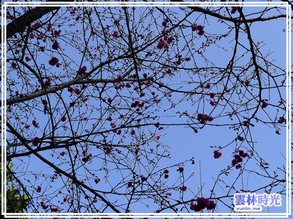 a056.jpg