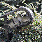 DSC_7391-2.jpg