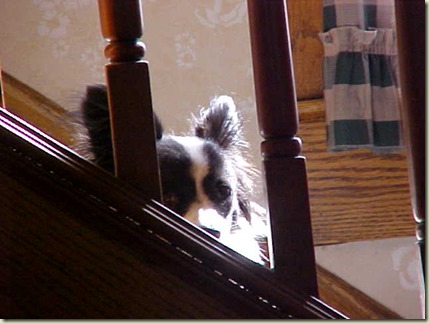 maggie stair maggie stair