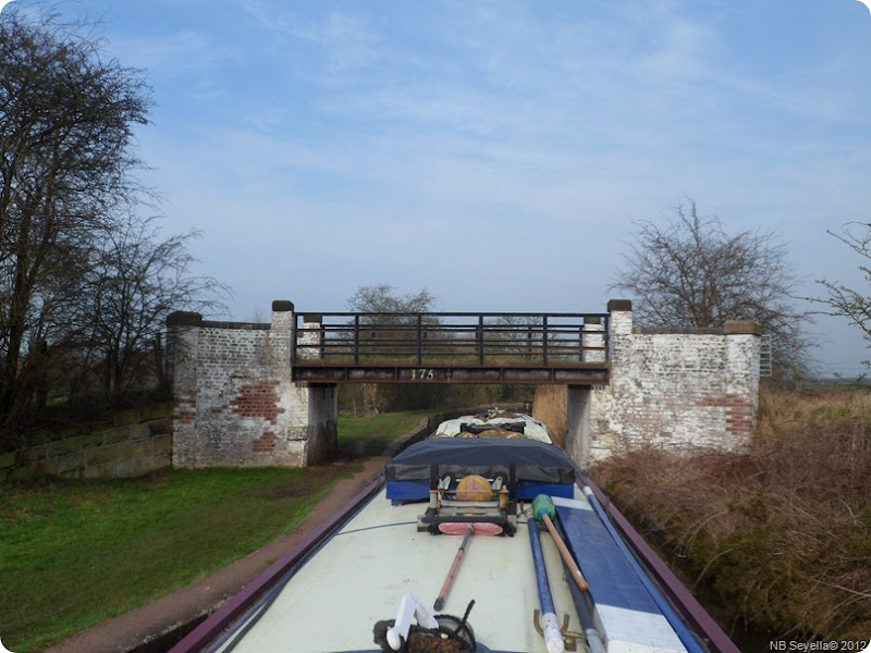 SAM_0003 Br175 SAM_0003 Br175