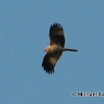DSC_9893.JPG