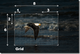 Regular grid cropping overlay in lightroom