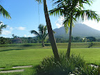 Golf, anyone?