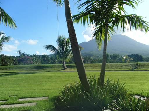 Golf, anyone?